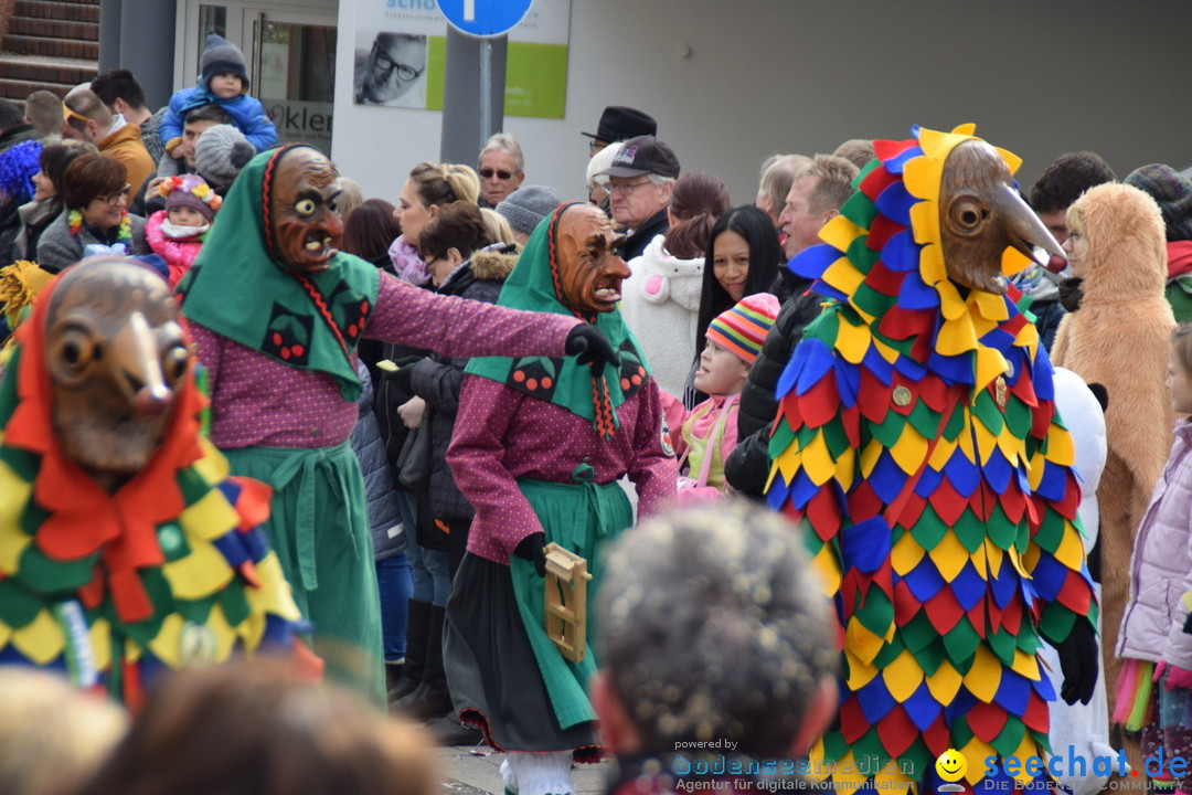 Grosser Narrensprung: Friedrichshafen am Bodensee, 02.03.2019