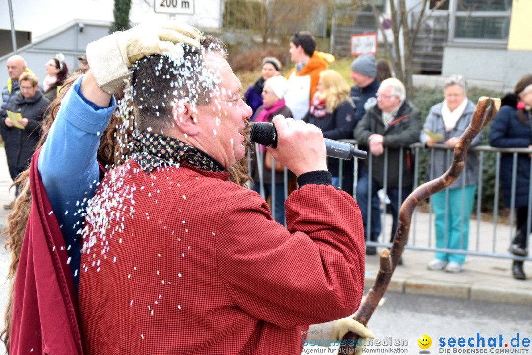 Grosser Narrensprung: Friedrichshafen am Bodensee, 02.03.2019