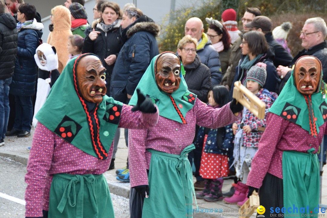 Grosser Narrensprung: Friedrichshafen am Bodensee, 02.03.2019