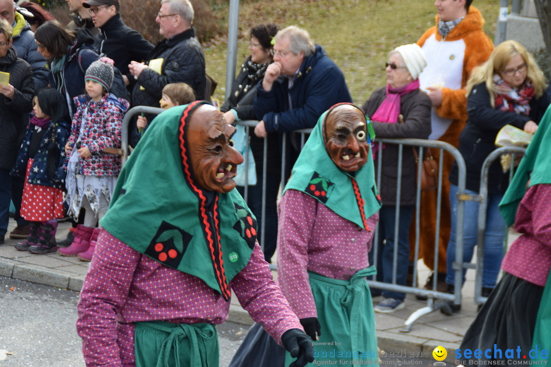 Grosser Narrensprung: Friedrichshafen am Bodensee, 02.03.2019