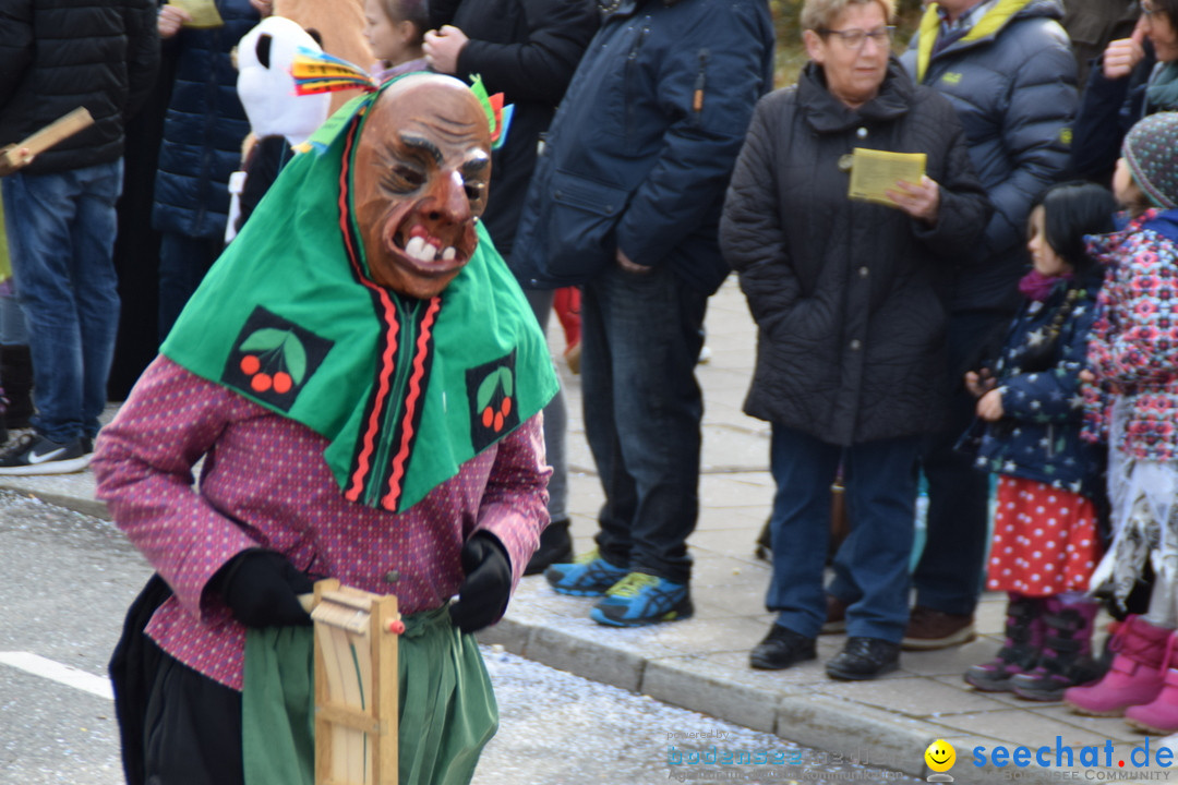 Grosser Narrensprung: Friedrichshafen am Bodensee, 02.03.2019