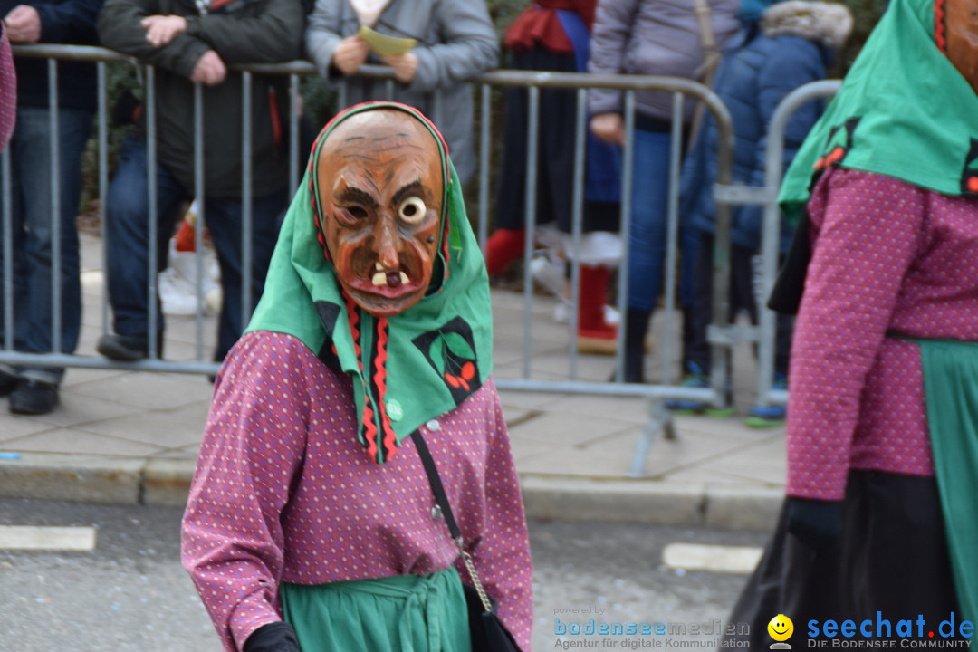 Grosser Narrensprung: Friedrichshafen am Bodensee, 02.03.2019