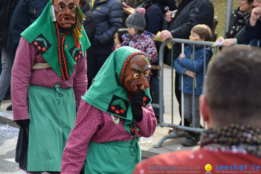 Grosser Narrensprung: Friedrichshafen am Bodensee, 02.03.2019