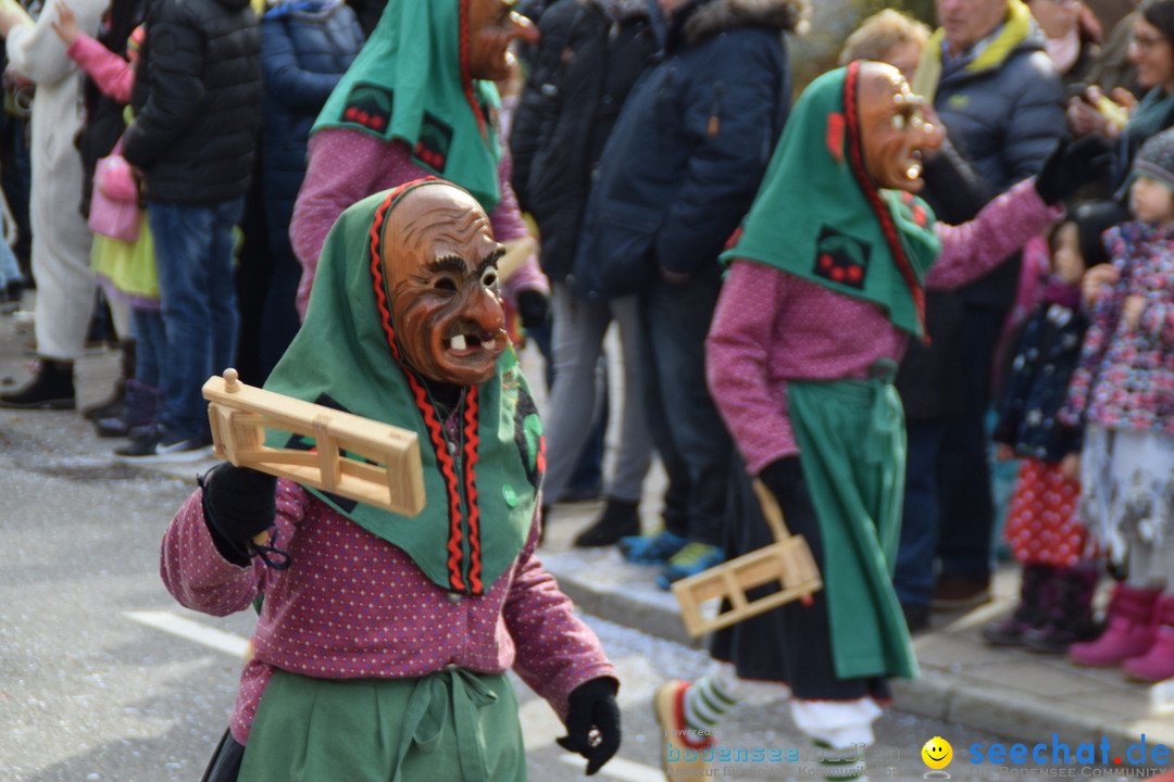 Grosser Narrensprung: Friedrichshafen am Bodensee, 02.03.2019