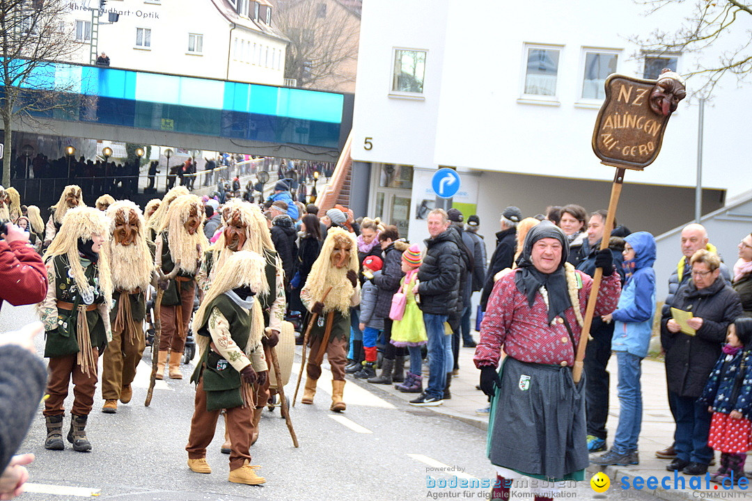 Grosser Narrensprung: Friedrichshafen am Bodensee, 02.03.2019