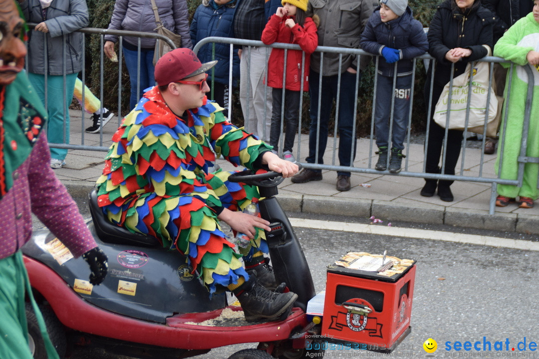 Grosser Narrensprung: Friedrichshafen am Bodensee, 02.03.2019