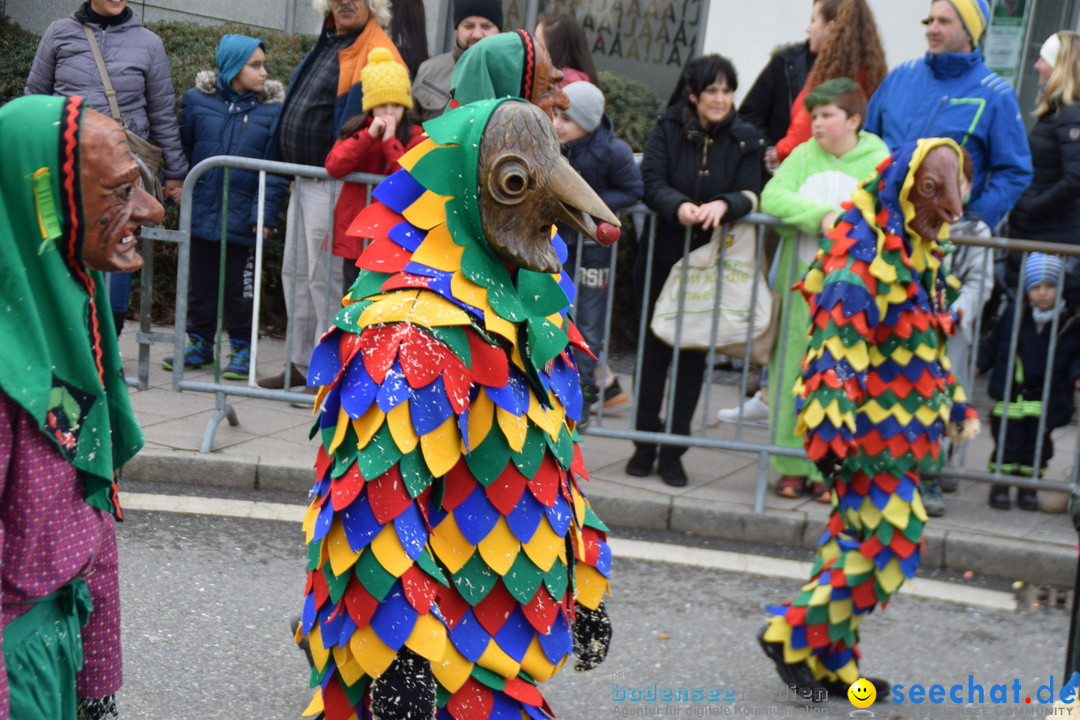 Grosser Narrensprung: Friedrichshafen am Bodensee, 02.03.2019