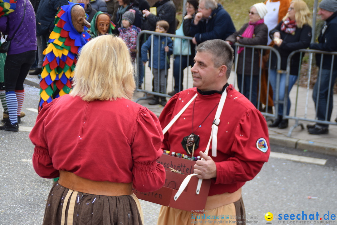 Grosser Narrensprung: Friedrichshafen am Bodensee, 02.03.2019