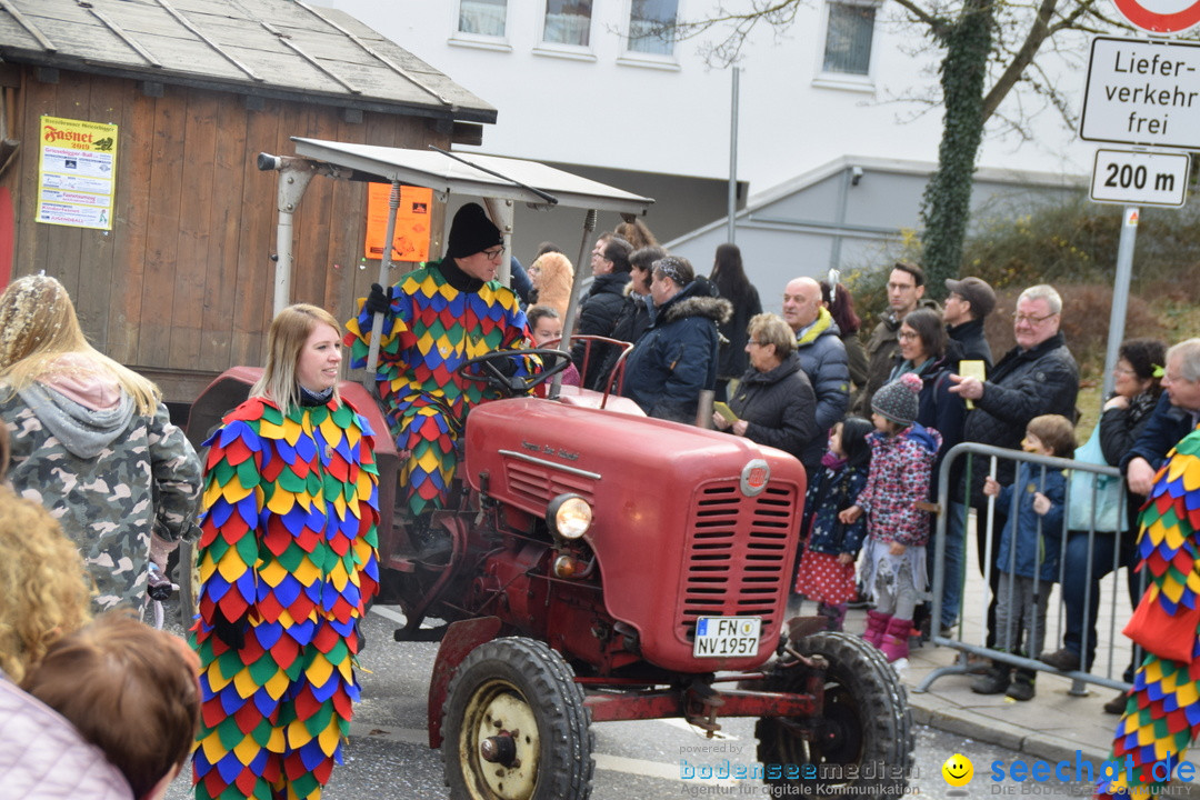 Grosser Narrensprung: Friedrichshafen am Bodensee, 02.03.2019