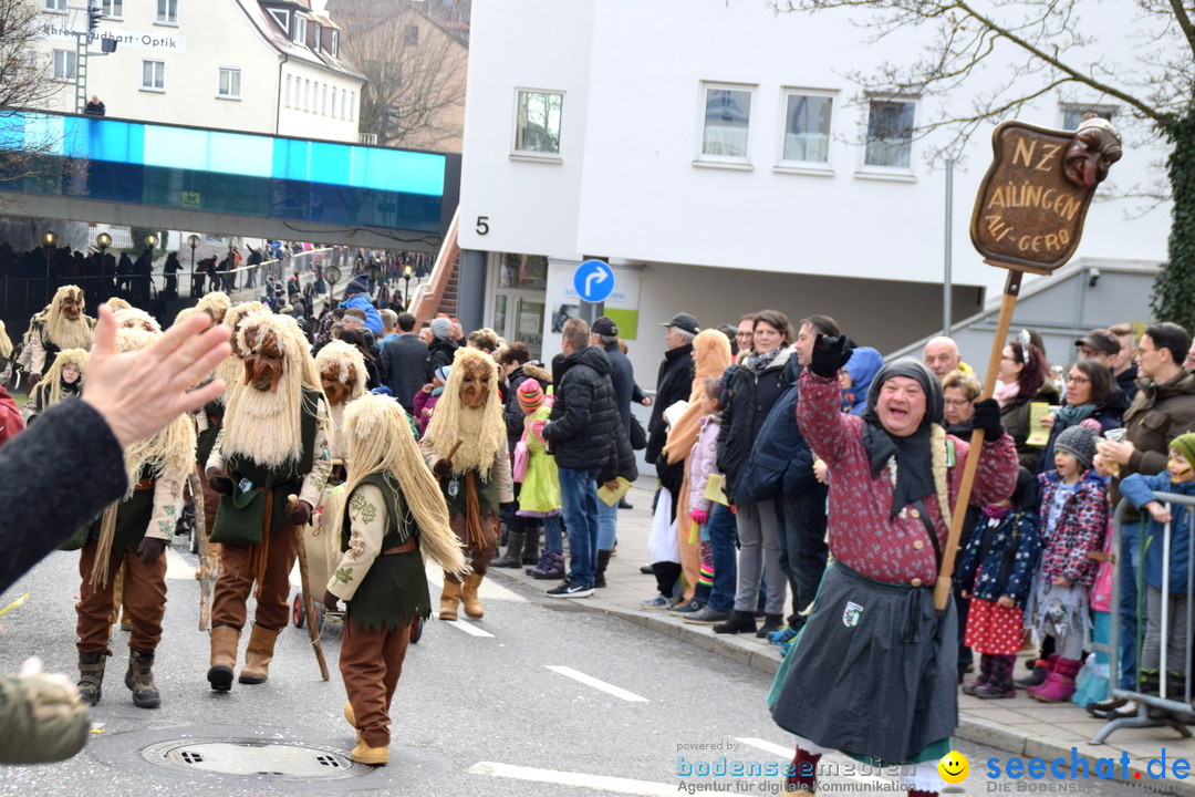 Grosser Narrensprung: Friedrichshafen am Bodensee, 02.03.2019