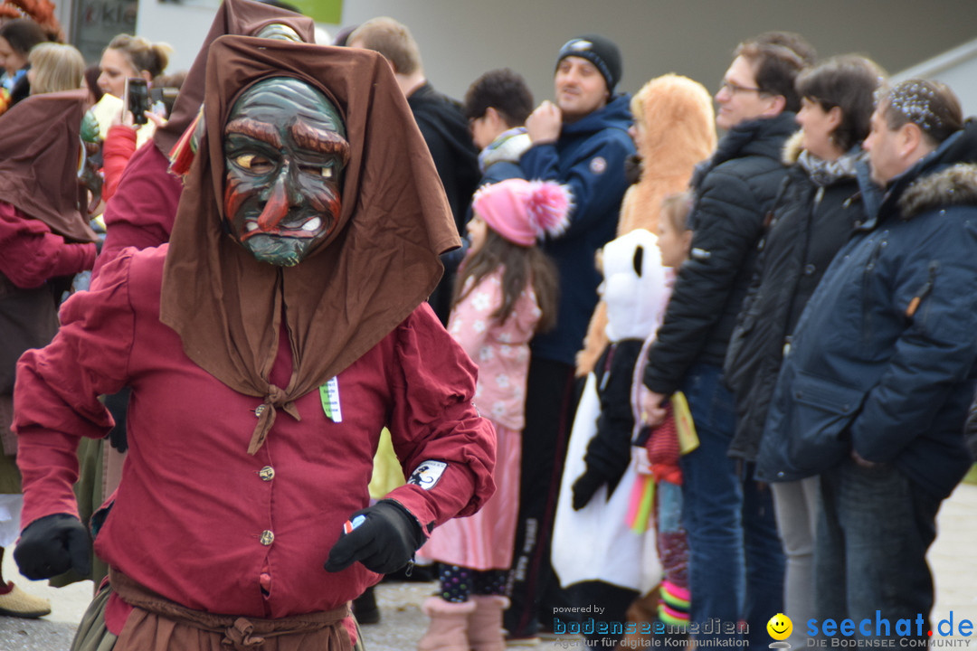 Grosser Narrensprung: Friedrichshafen am Bodensee, 02.03.2019