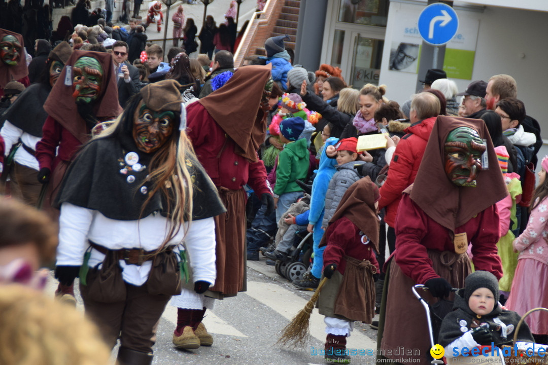 Grosser Narrensprung: Friedrichshafen am Bodensee, 02.03.2019