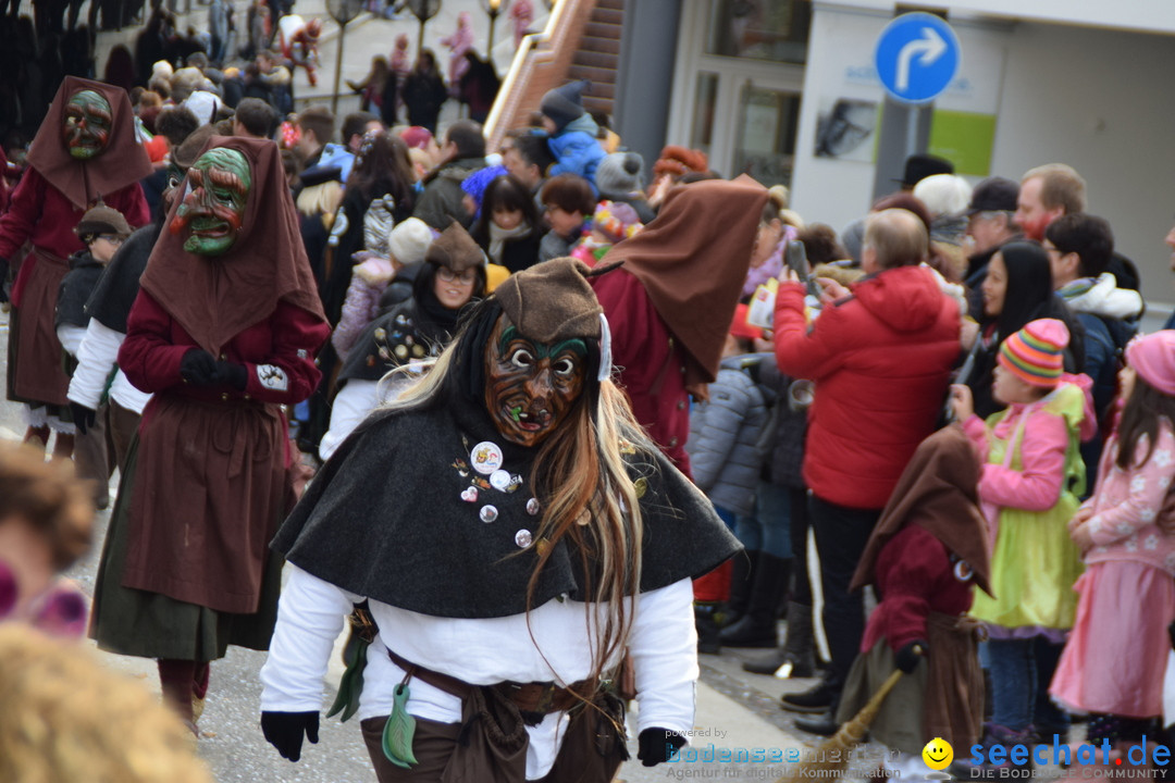 Grosser Narrensprung: Friedrichshafen am Bodensee, 02.03.2019