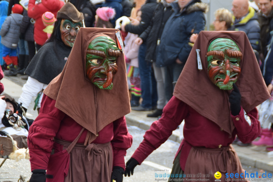 Grosser Narrensprung: Friedrichshafen am Bodensee, 02.03.2019