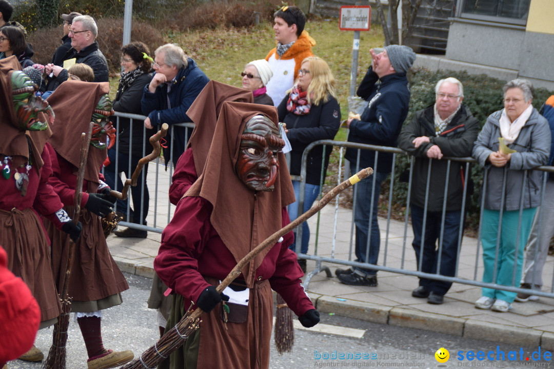 Grosser Narrensprung: Friedrichshafen am Bodensee, 02.03.2019