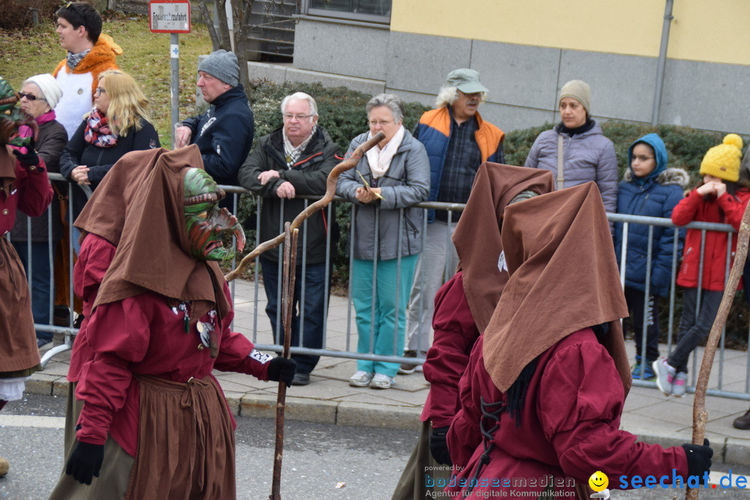 Grosser Narrensprung: Friedrichshafen am Bodensee, 02.03.2019