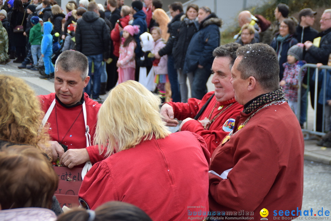 Grosser Narrensprung: Friedrichshafen am Bodensee, 02.03.2019