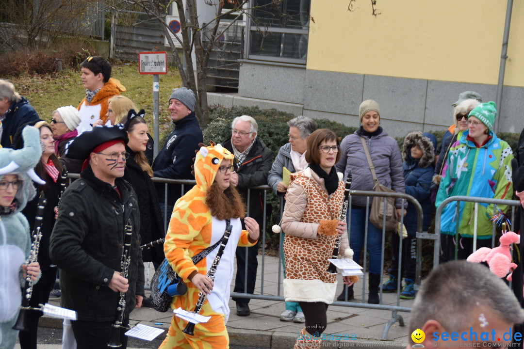 Grosser Narrensprung: Friedrichshafen am Bodensee, 02.03.2019