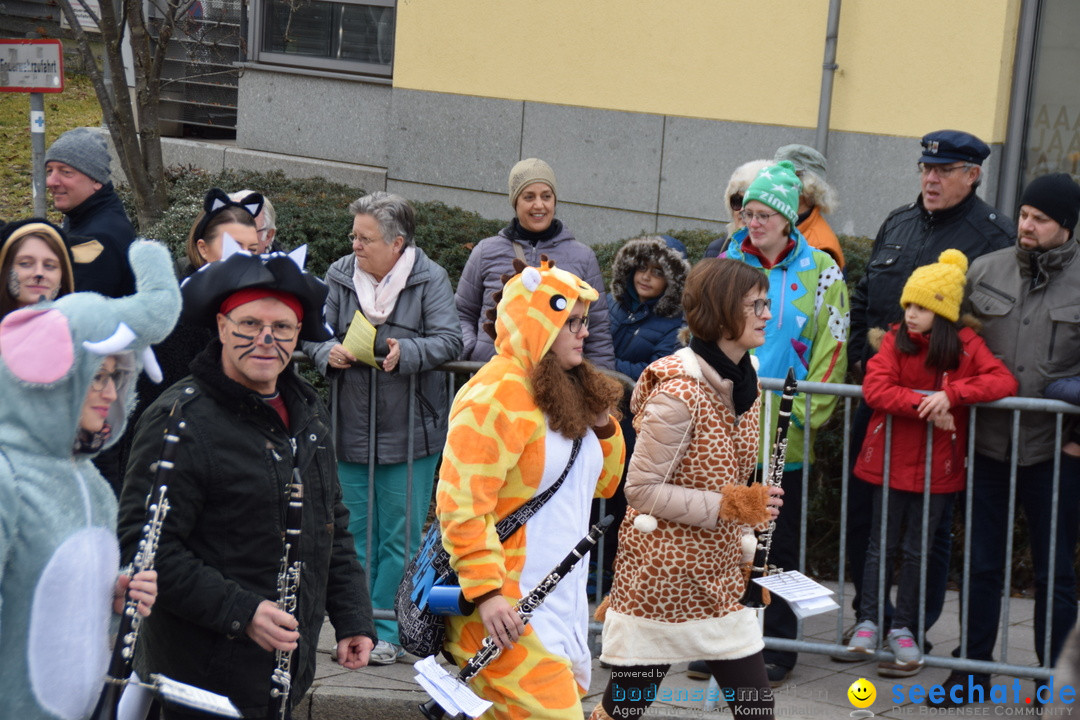 Grosser Narrensprung: Friedrichshafen am Bodensee, 02.03.2019