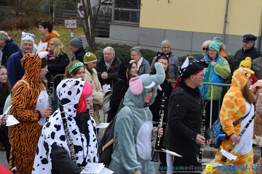 Grosser Narrensprung: Friedrichshafen am Bodensee, 02.03.2019