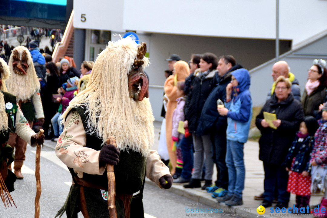 Grosser Narrensprung: Friedrichshafen am Bodensee, 02.03.2019