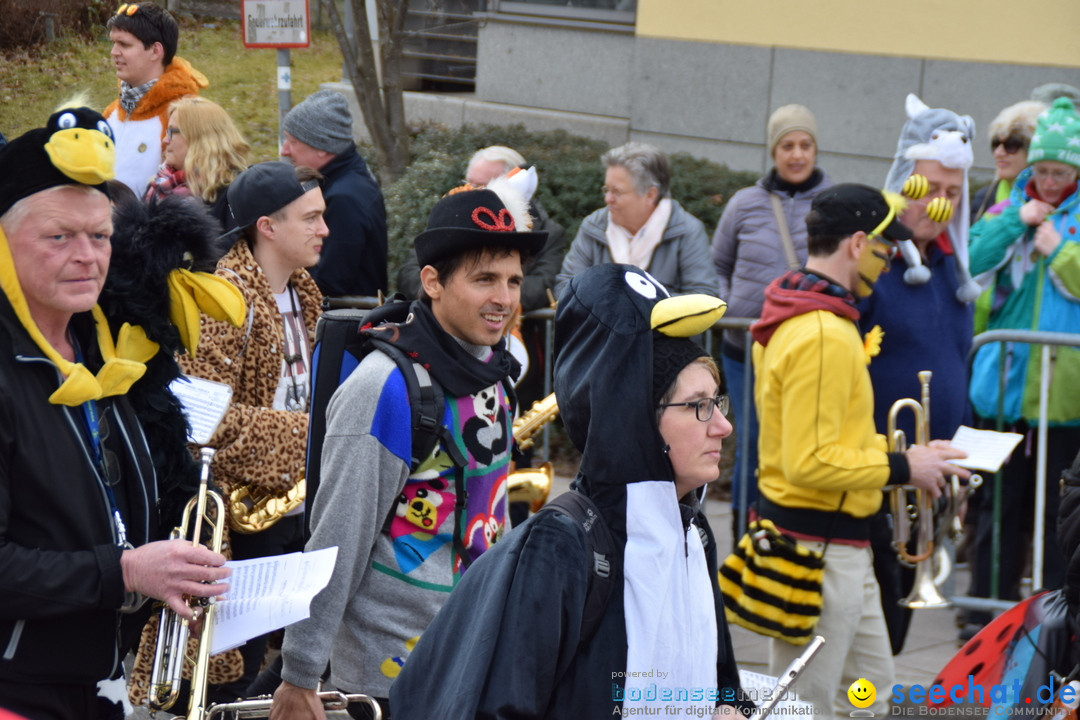 Grosser Narrensprung: Friedrichshafen am Bodensee, 02.03.2019