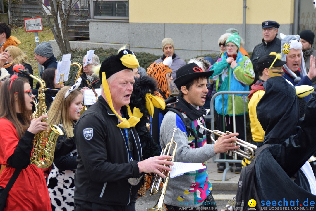 Grosser Narrensprung: Friedrichshafen am Bodensee, 02.03.2019