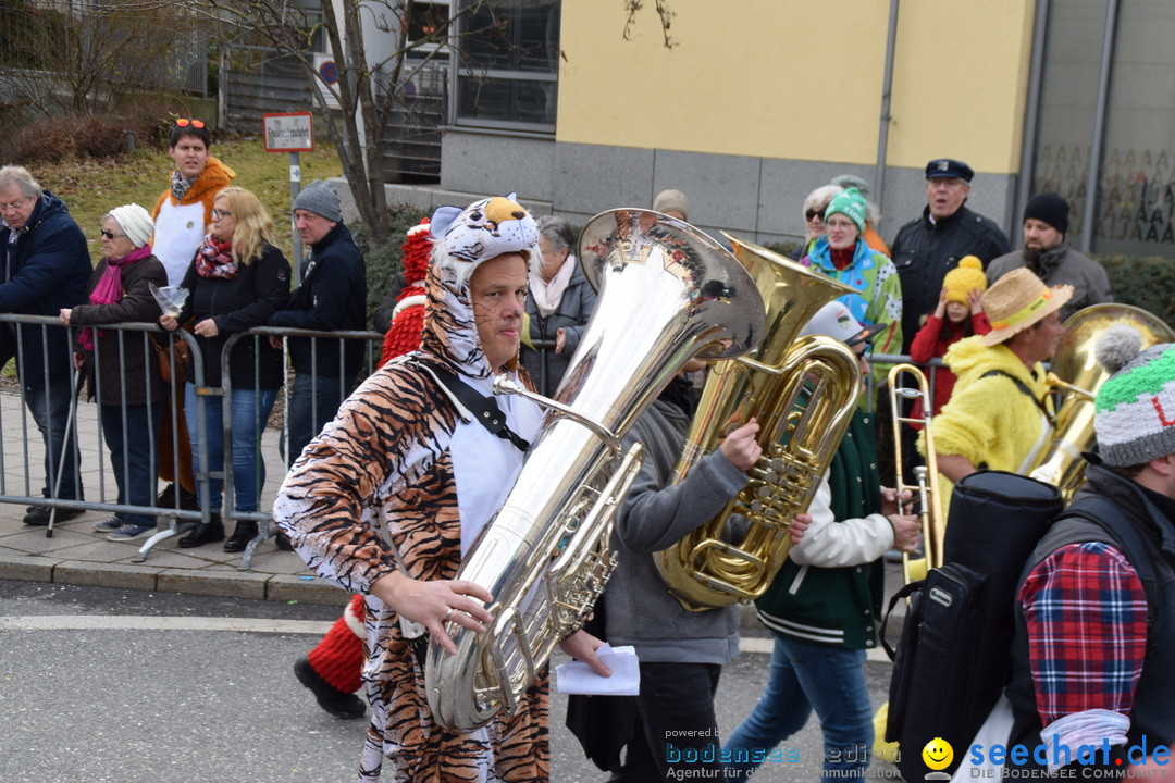 Grosser Narrensprung: Friedrichshafen am Bodensee, 02.03.2019