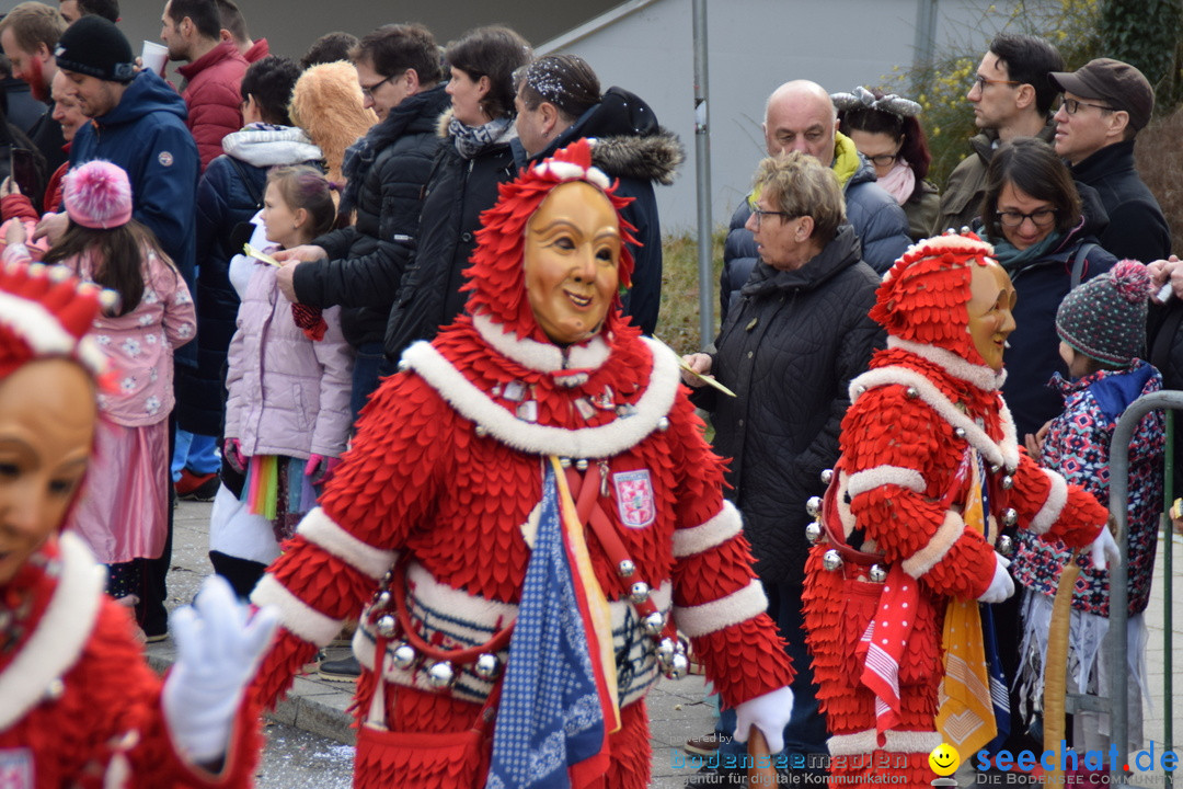 Grosser Narrensprung: Friedrichshafen am Bodensee, 02.03.2019