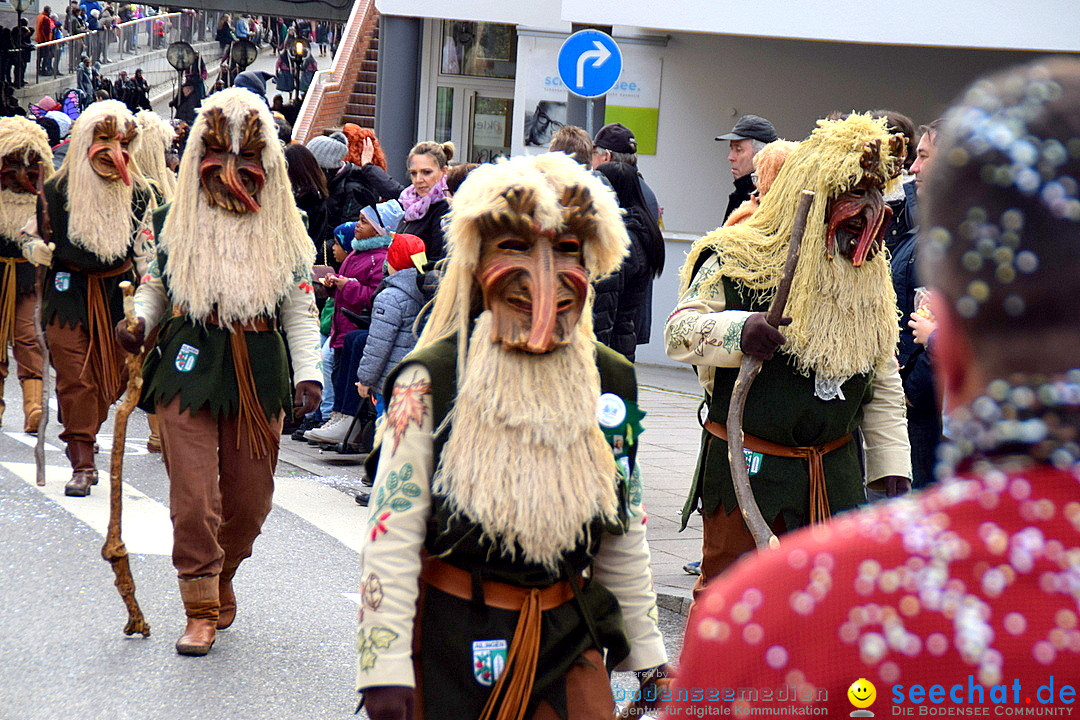 Grosser Narrensprung: Friedrichshafen am Bodensee, 02.03.2019