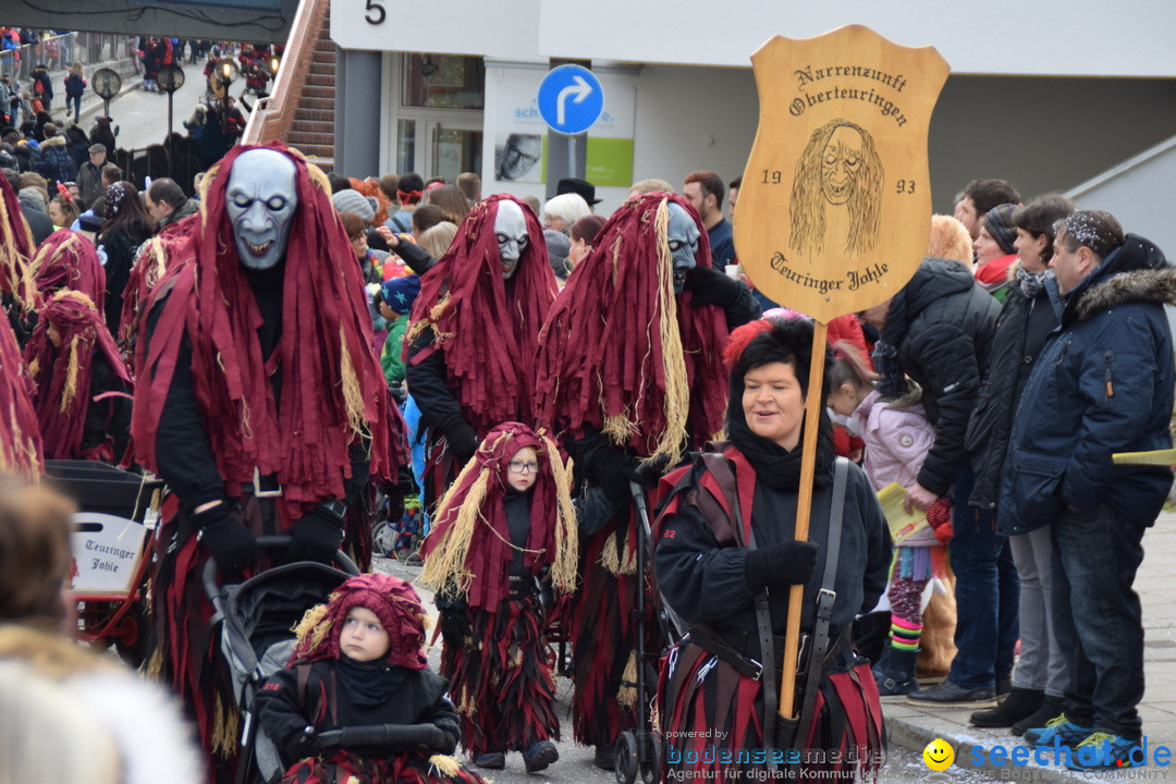 Grosser Narrensprung: Friedrichshafen am Bodensee, 02.03.2019