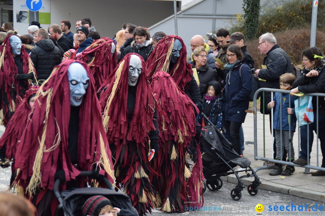 Grosser Narrensprung: Friedrichshafen am Bodensee, 02.03.2019