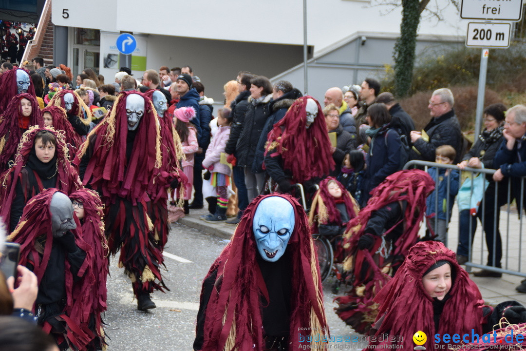 Grosser Narrensprung: Friedrichshafen am Bodensee, 02.03.2019