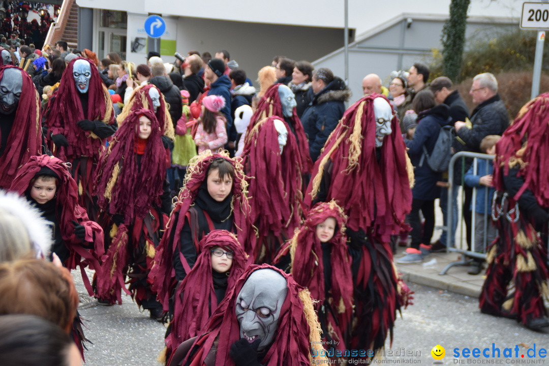 Grosser Narrensprung: Friedrichshafen am Bodensee, 02.03.2019