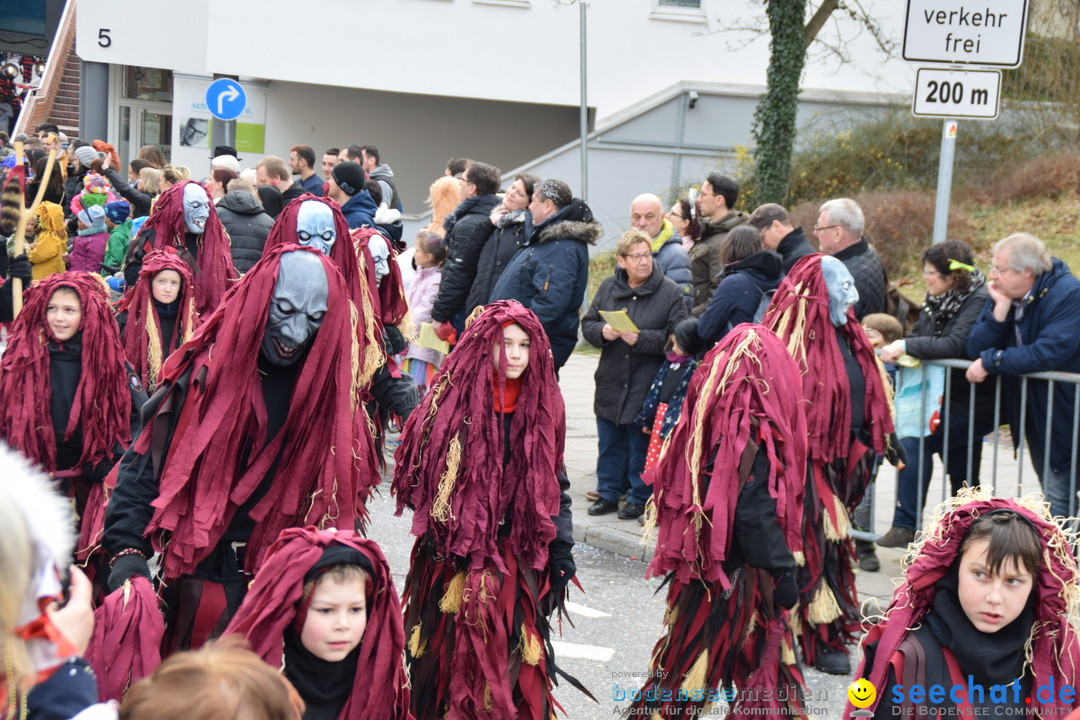 Grosser Narrensprung: Friedrichshafen am Bodensee, 02.03.2019