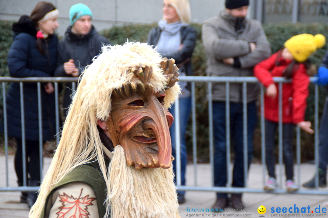 Grosser Narrensprung: Friedrichshafen am Bodensee, 02.03.2019