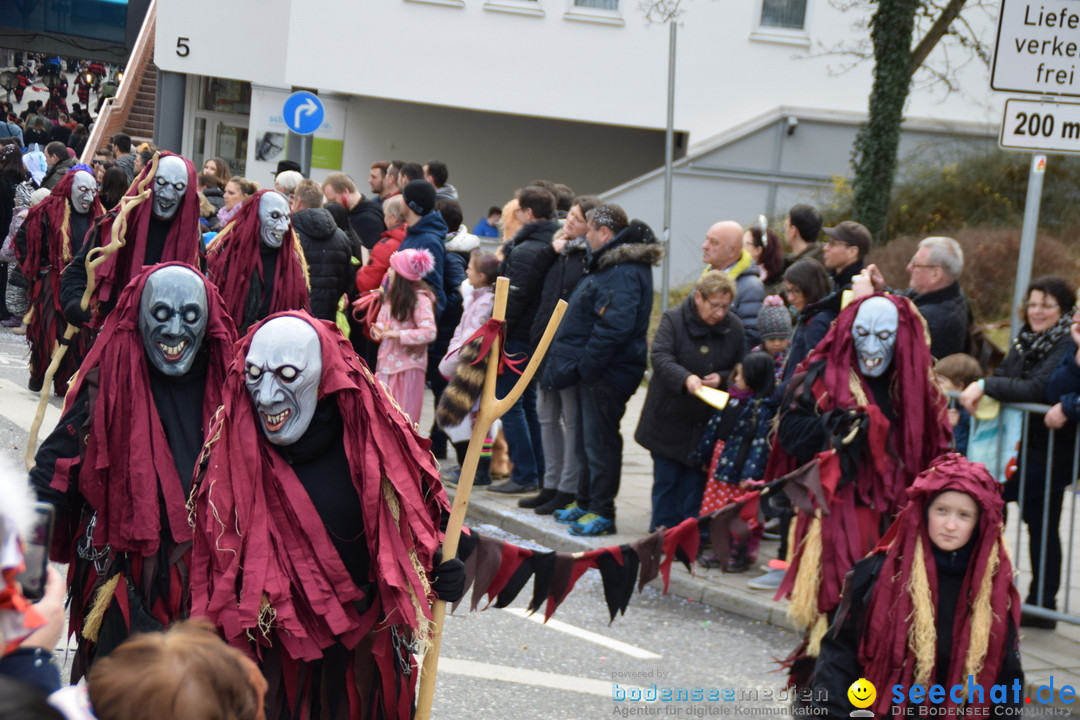 Grosser Narrensprung: Friedrichshafen am Bodensee, 02.03.2019