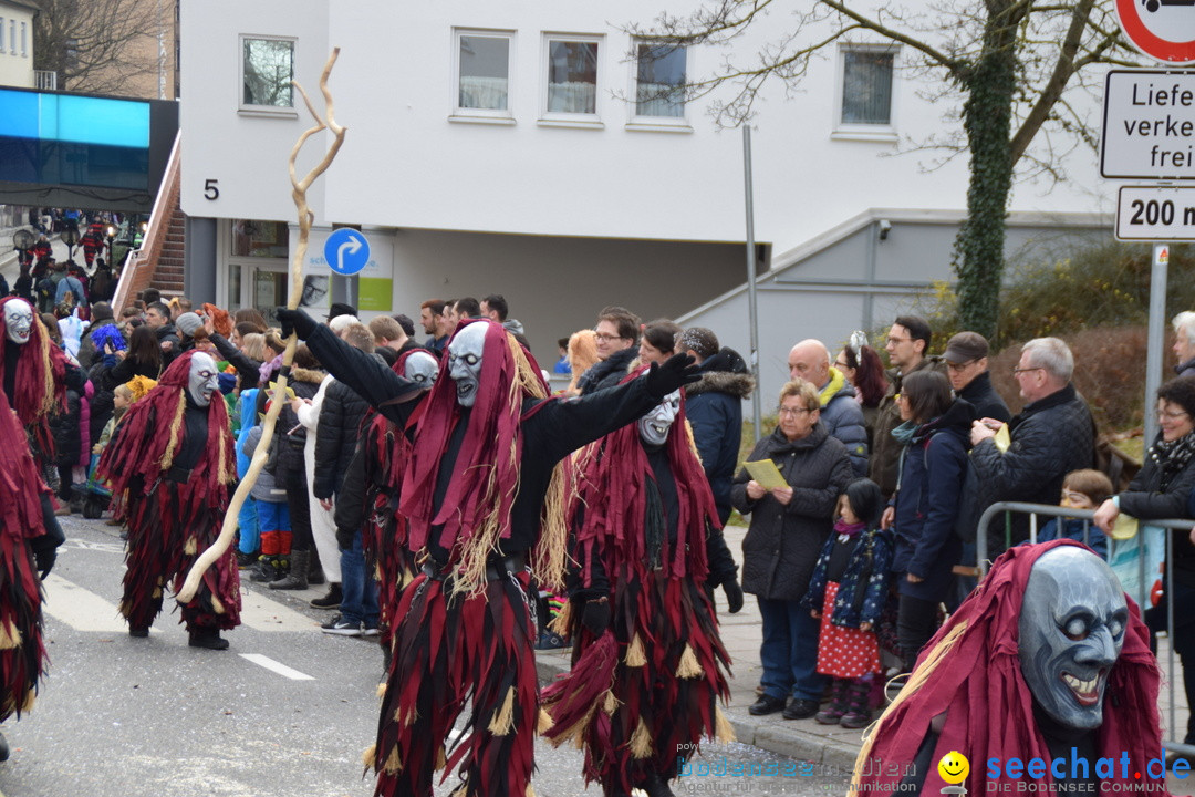 Grosser Narrensprung: Friedrichshafen am Bodensee, 02.03.2019