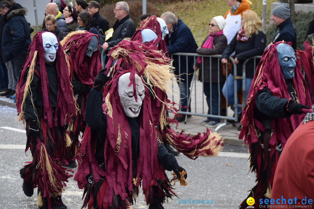 Grosser Narrensprung: Friedrichshafen am Bodensee, 02.03.2019