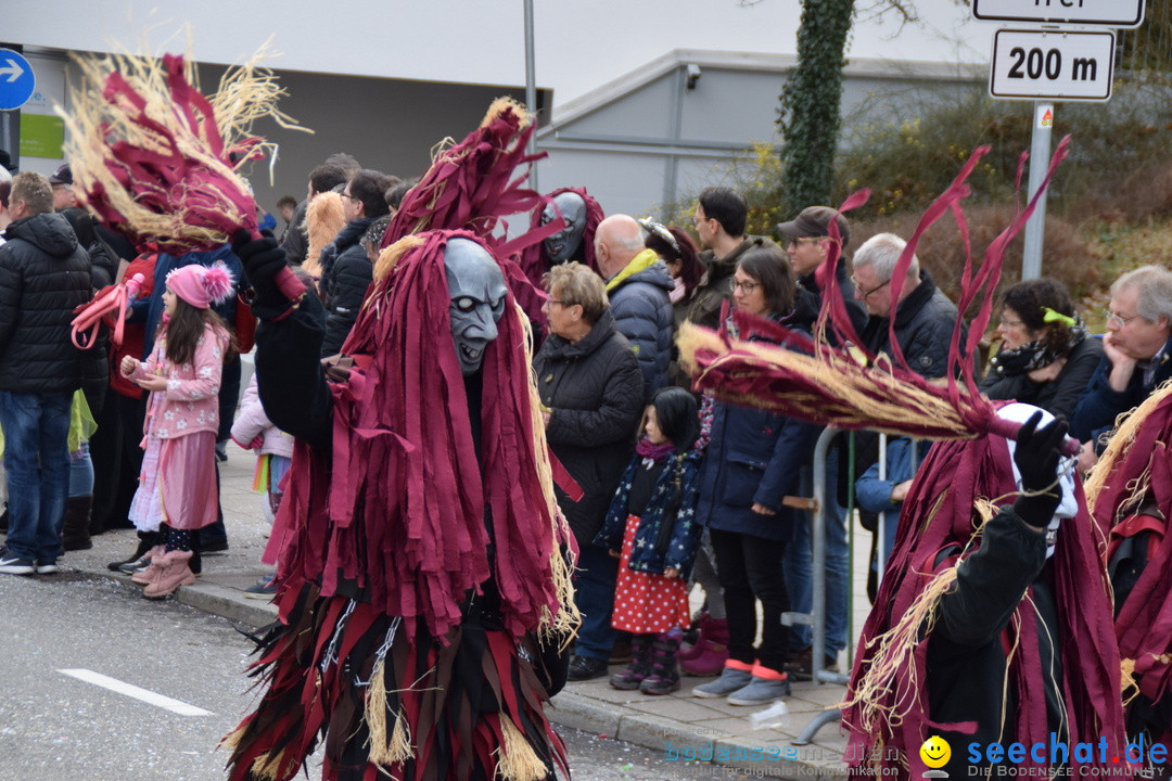 Grosser Narrensprung: Friedrichshafen am Bodensee, 02.03.2019