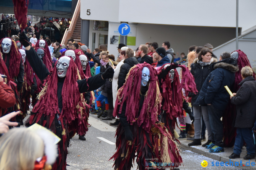 Grosser Narrensprung: Friedrichshafen am Bodensee, 02.03.2019