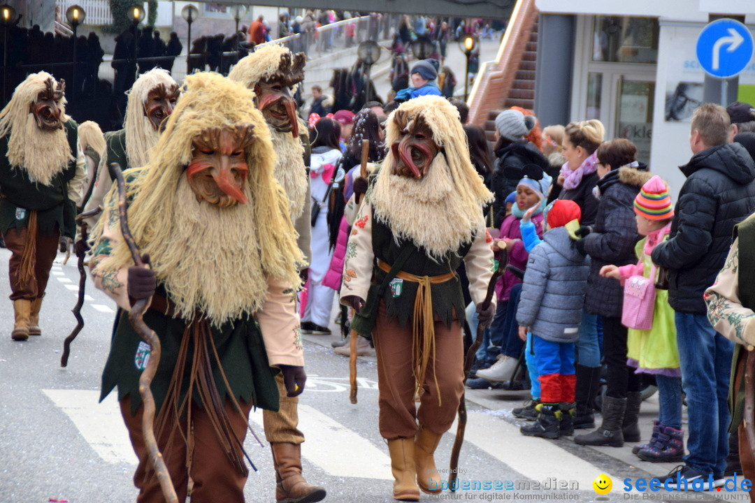 Grosser Narrensprung: Friedrichshafen am Bodensee, 02.03.2019