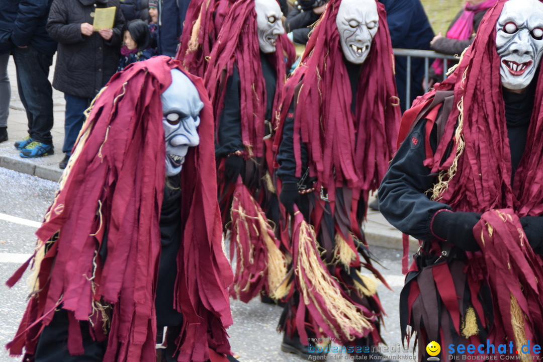 Grosser Narrensprung: Friedrichshafen am Bodensee, 02.03.2019