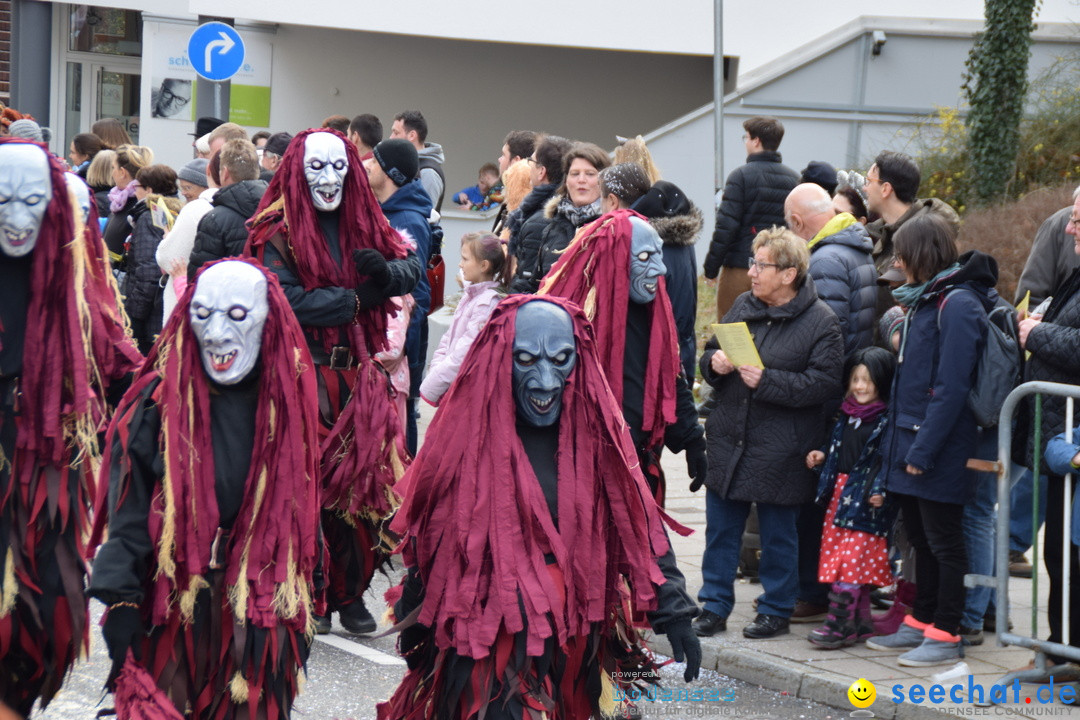 Grosser Narrensprung: Friedrichshafen am Bodensee, 02.03.2019