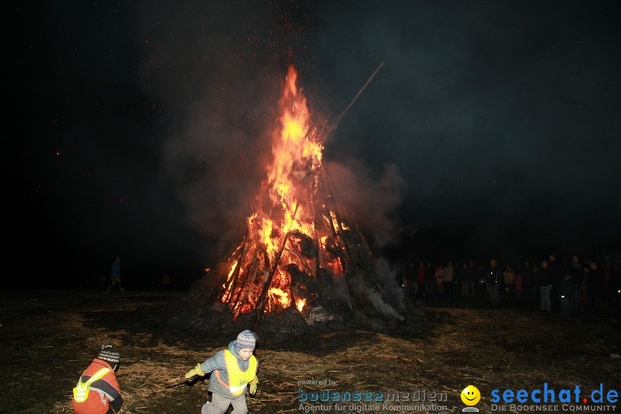 Funkenfeuer 2010: Ursaul bei Stockach am Bodensee, 21.02.2010