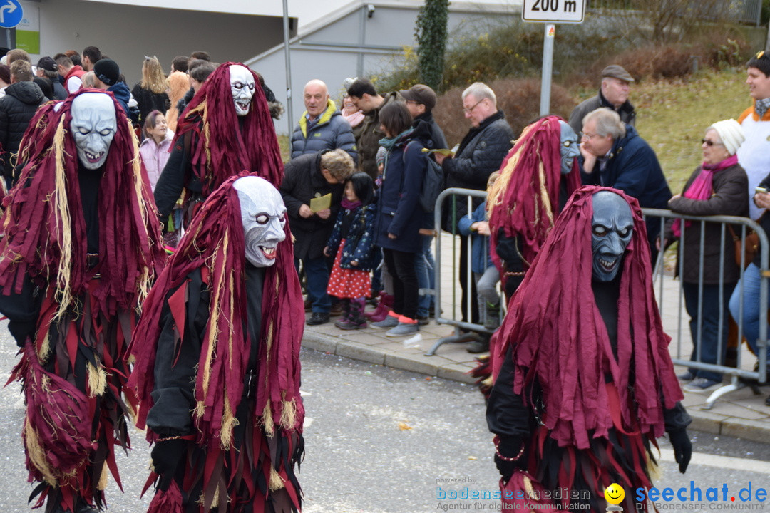 Grosser Narrensprung: Friedrichshafen am Bodensee, 02.03.2019