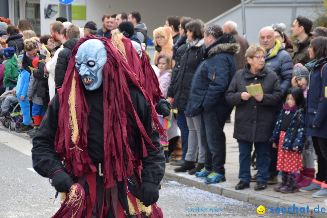 Grosser Narrensprung: Friedrichshafen am Bodensee, 02.03.2019