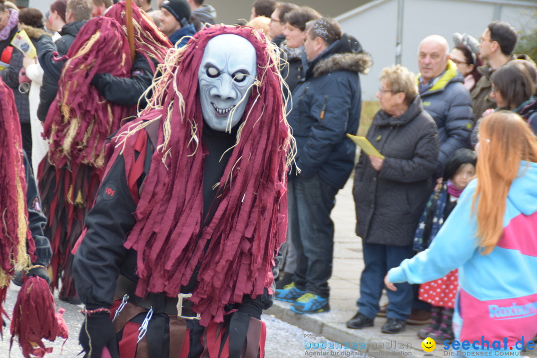 Grosser Narrensprung: Friedrichshafen am Bodensee, 02.03.2019