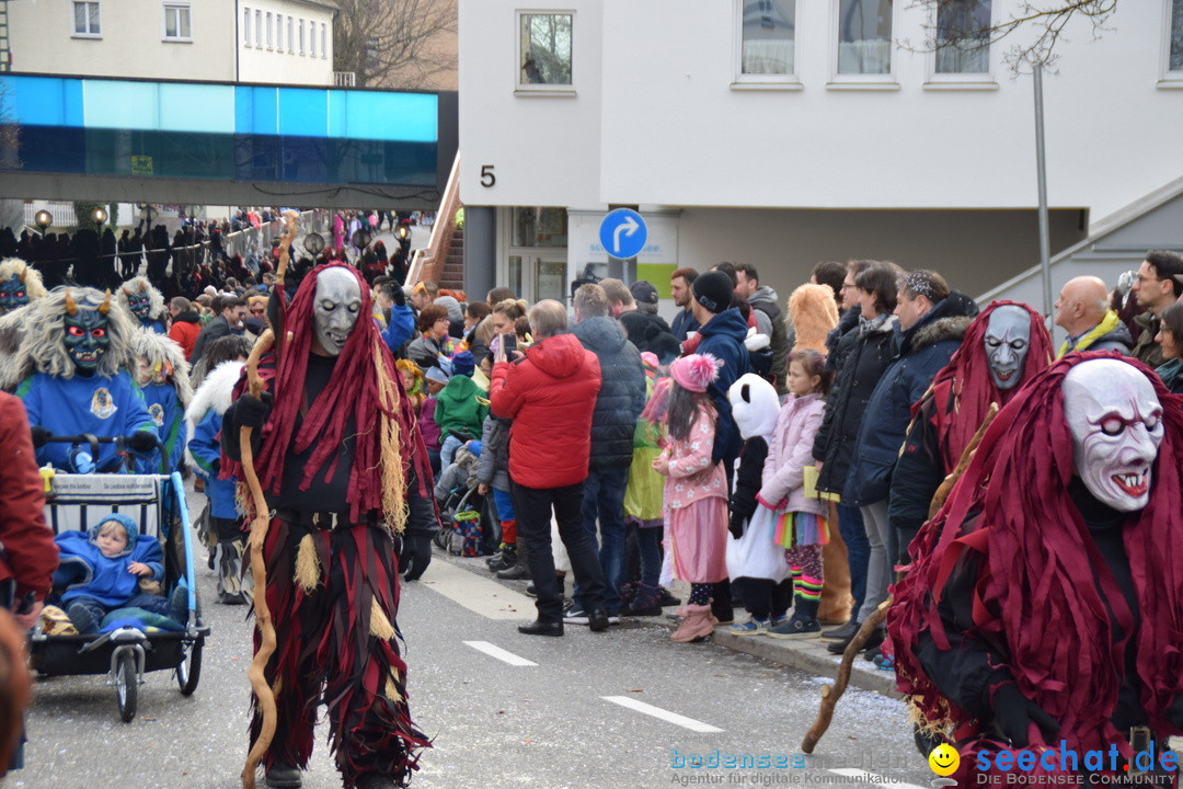 Grosser Narrensprung: Friedrichshafen am Bodensee, 02.03.2019