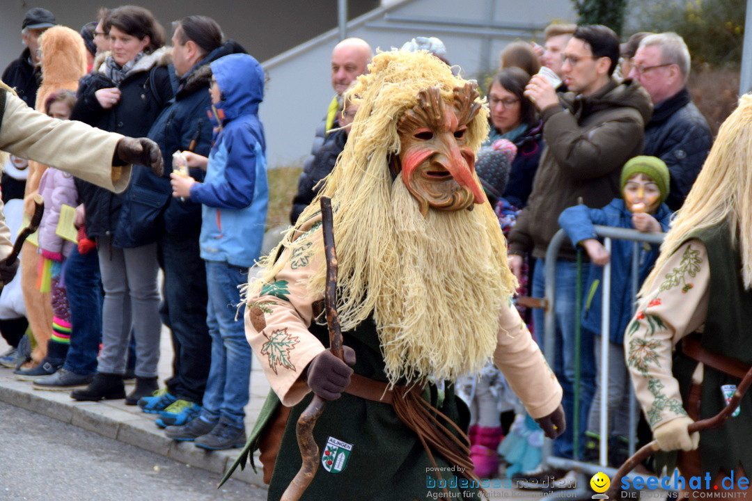 Grosser Narrensprung: Friedrichshafen am Bodensee, 02.03.2019